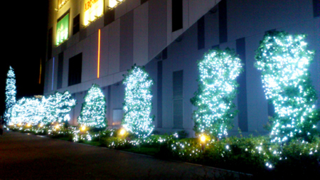 daiba